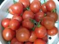 Bí quyết: 5 lý do nên dùng cà chua
