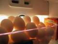 Cách bảo quản trứng được lâu ngày - Chia sẻ mẹo hay