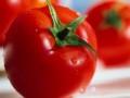 Kinh nghiệm hay: Lý do bạn nên ăn cà chua vào buổi chiều tối