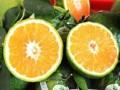 Bí quyết: Những loại trái cây tốt từ vỏ đến ruột