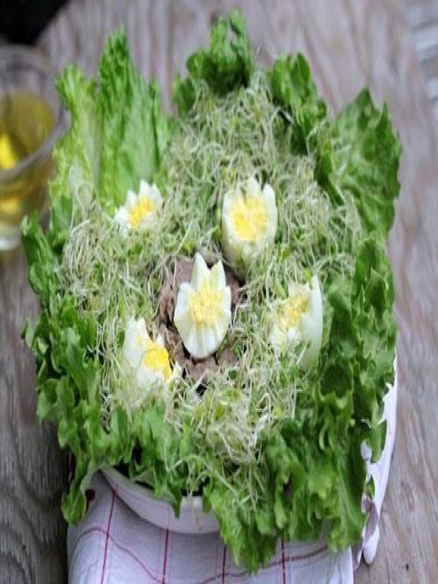 Salad rau mầm: Một món khai vị mát lạnh cho mùa hè