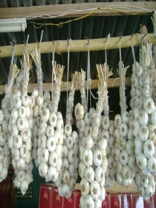 Trị chứng bất lực bằng thực phẩm